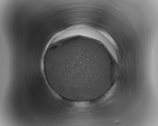 X0000099580813200805301558