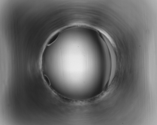 X0000099580815200805301558