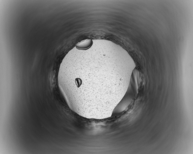 X0000099580818200805301557