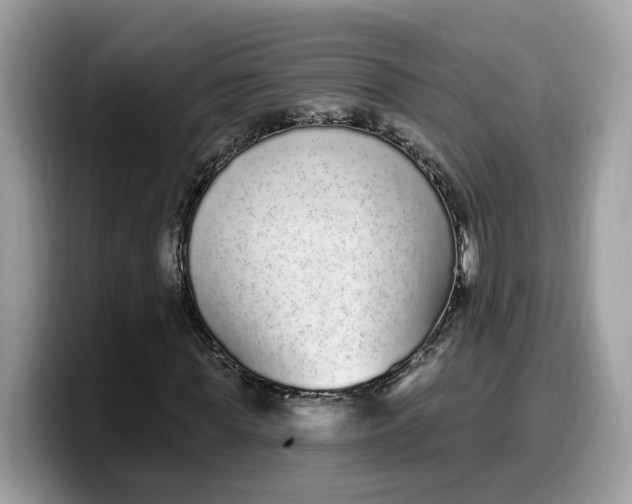 X0000099580819200805301557