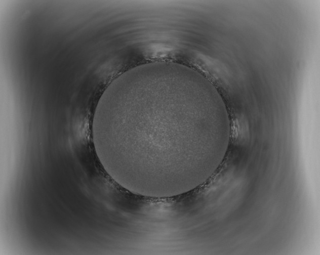 X0000099580820200805301557