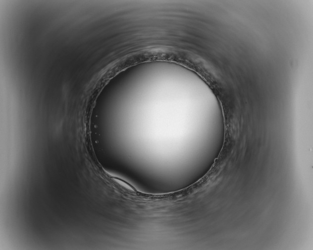 X0000099580821200805301557