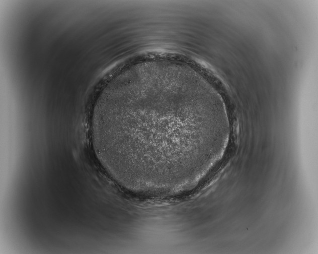 X0000099580822200805301557