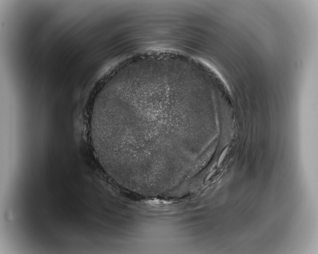 X0000099580823200805301557