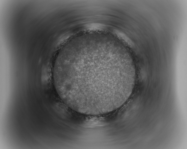 X0000099580824200805301557