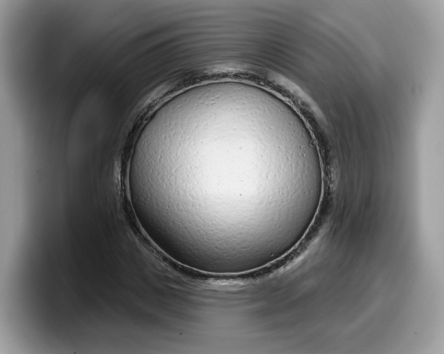 X0000099580825200805301557