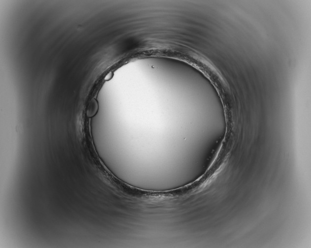 X0000099580826200805301557