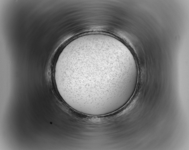 X0000099580827200805301557