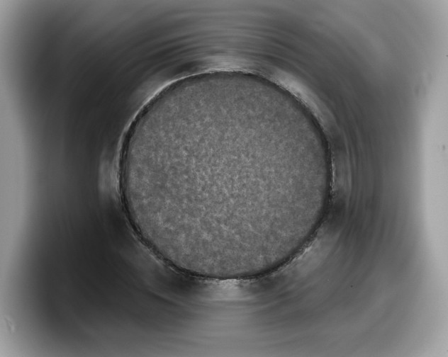 X0000099580828200805301557