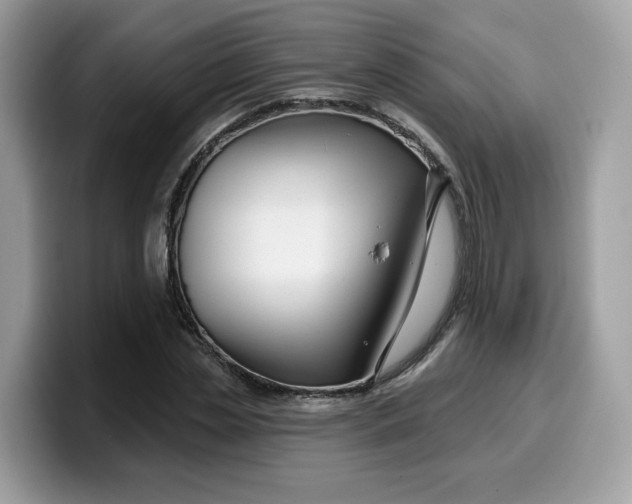 X0000099580829200805301557