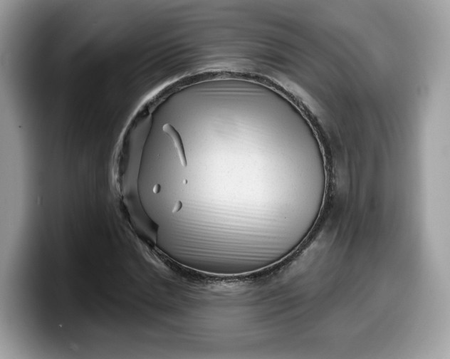 X0000099580830200805301557