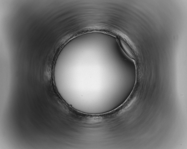 X0000099580833200805301558