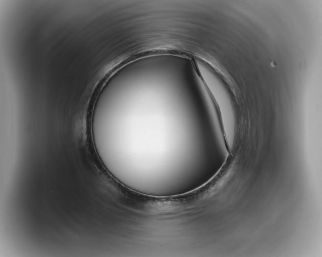 X0000099580834200805301558