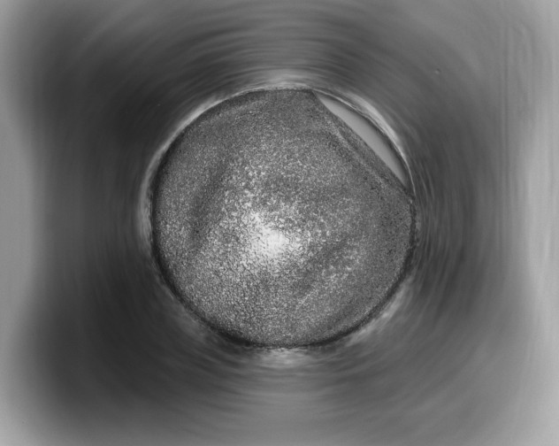 X0000099580835200805301558