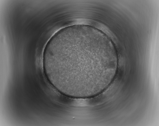 X0000099580836200805301558