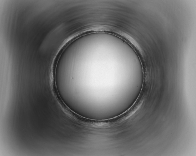 X0000099580837200805301558