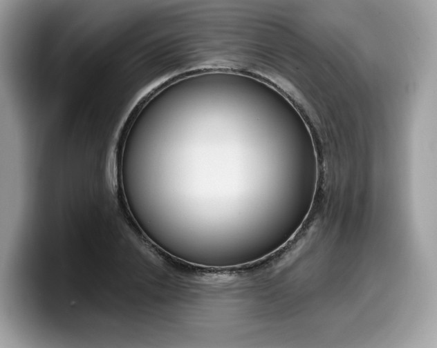 X0000099580838200805301558