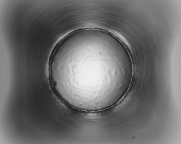 X0000099580839200805301558