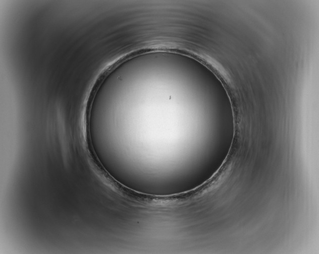 X0000099580840200805301558