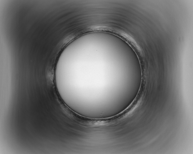 X0000099580841200805301558