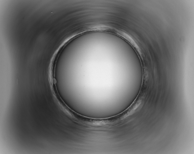 X0000099580843200805301558