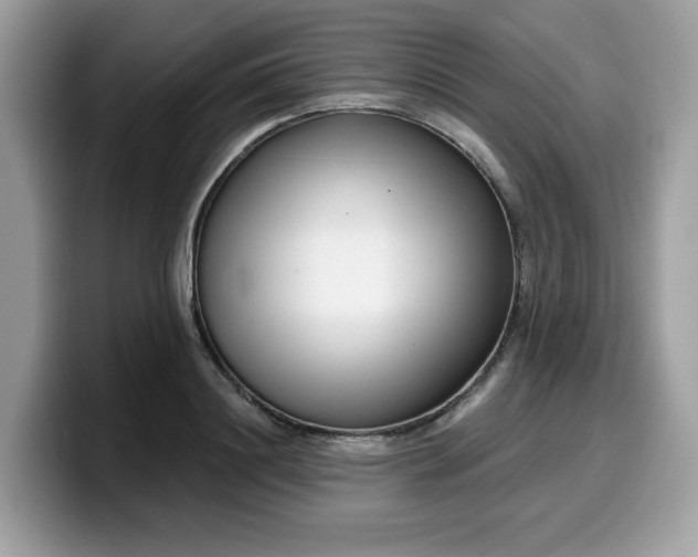 X0000099580844200805301558