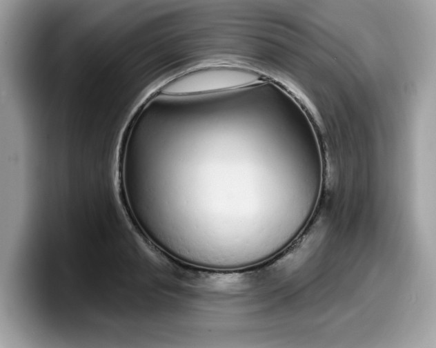 X0000099580845200805301558