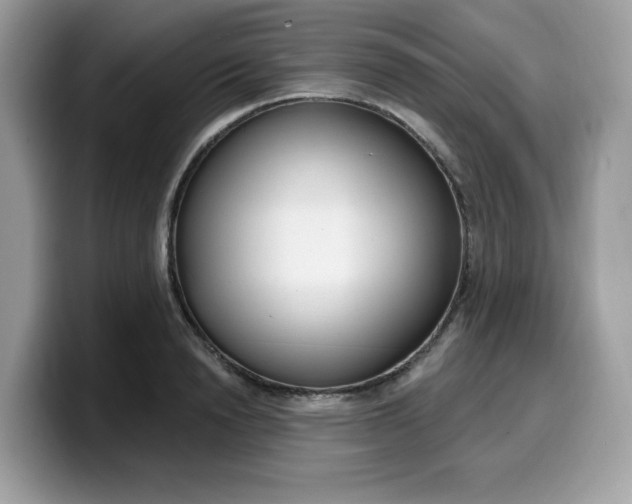 X0000099580846200805301558