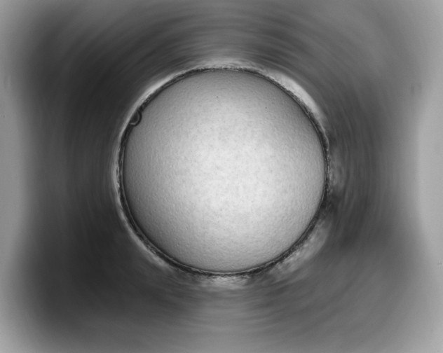 X0000099580847200805301558