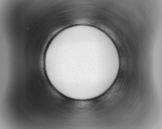 X0000099580848200805301558