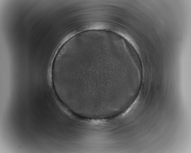 X0000099580850200805301558