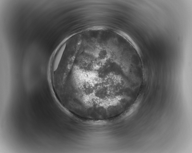 X0000099580851200805301558