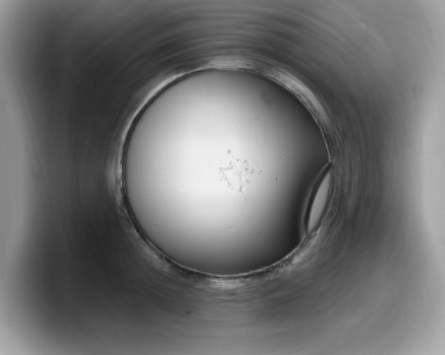 X0000099580852200805301558