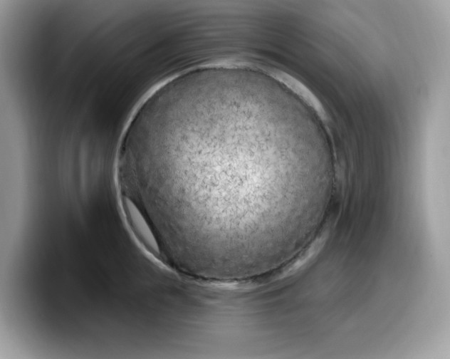 X0000099580855200805301558