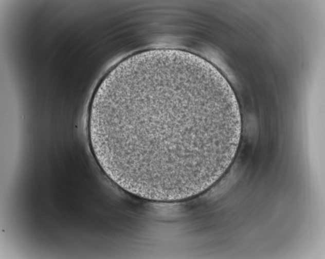 X0000099580856200805301558