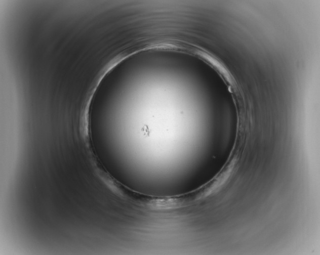 X0000099580858200805301558