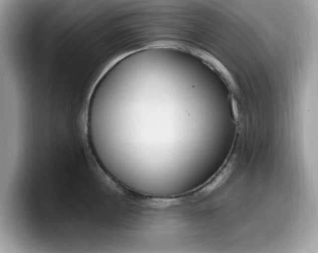 X0000099580860200805301558