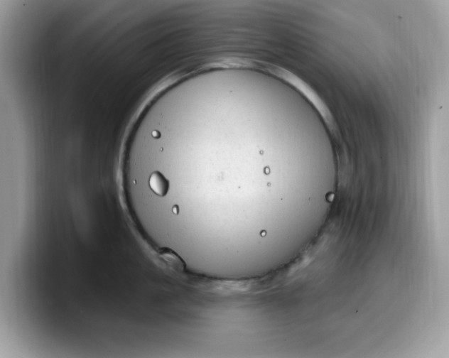 X0000099580861200805301558