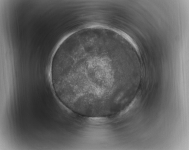 X0000099580863200805301558