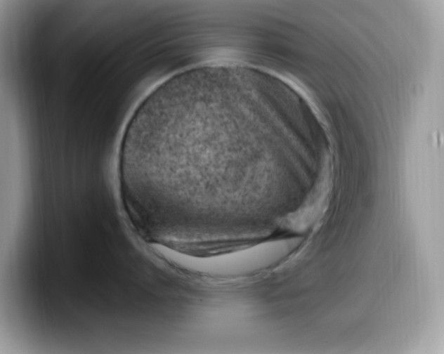 X0000099580864200805301558