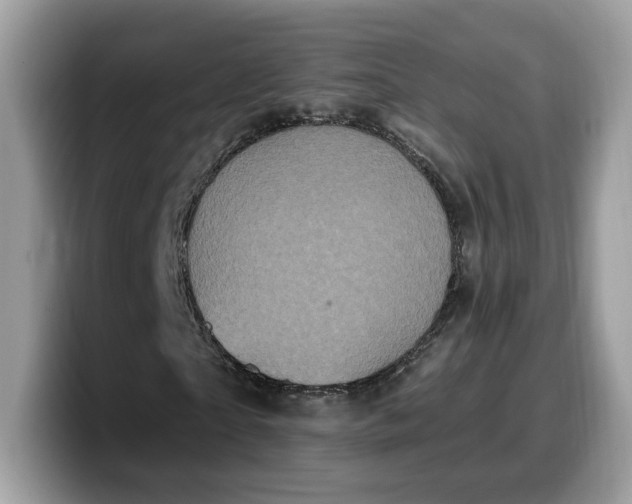 X0000099580865200805301557