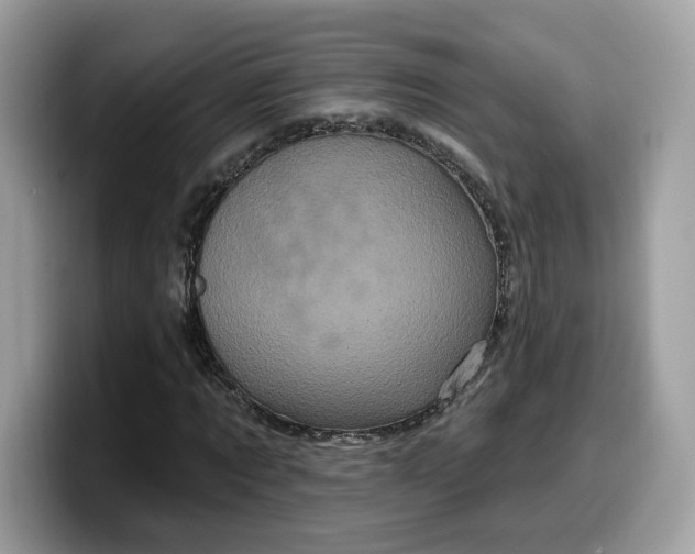 X0000099580869200805301557