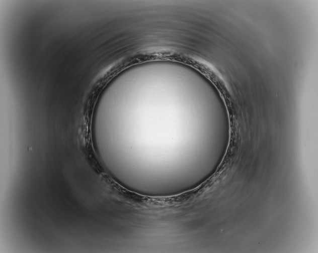 X0000099580871200805301557