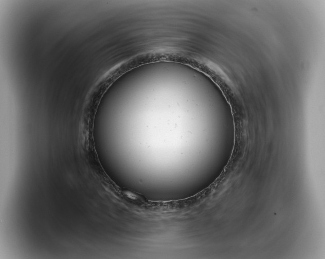 X0000099580872200805301557