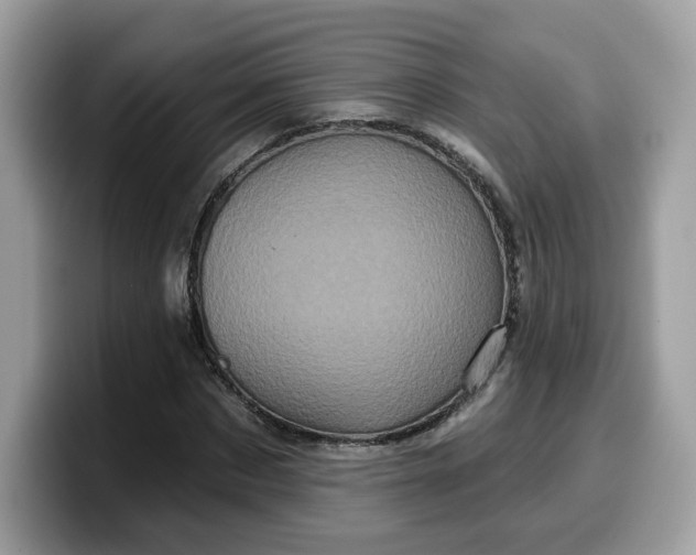 X0000099580873200805301557