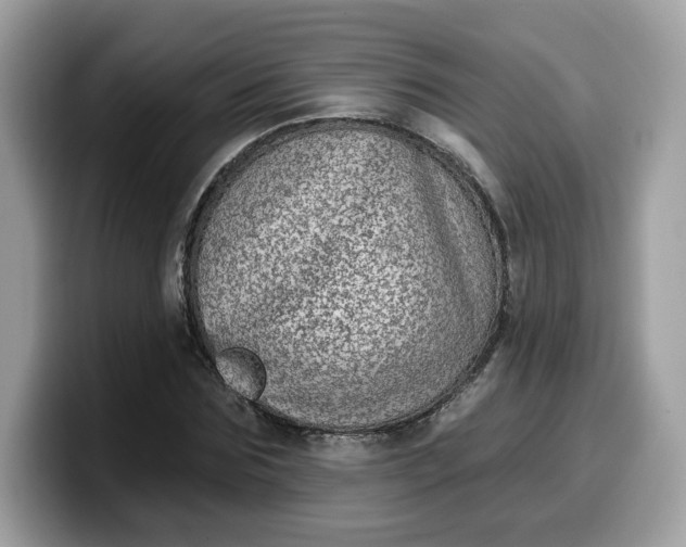 X0000099580875200805301557