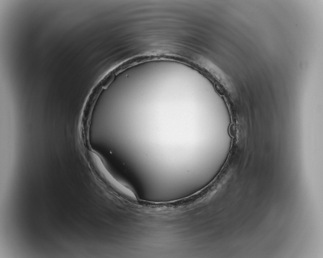 X0000099580876200805301557