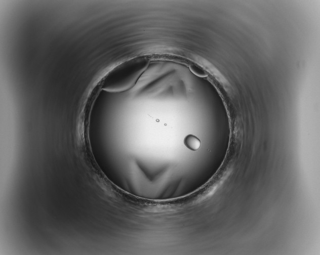 X0000099580877200805301557