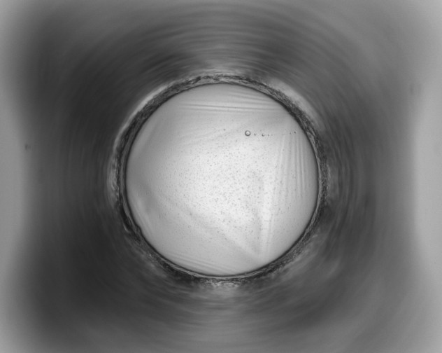 X0000099580878200805301557