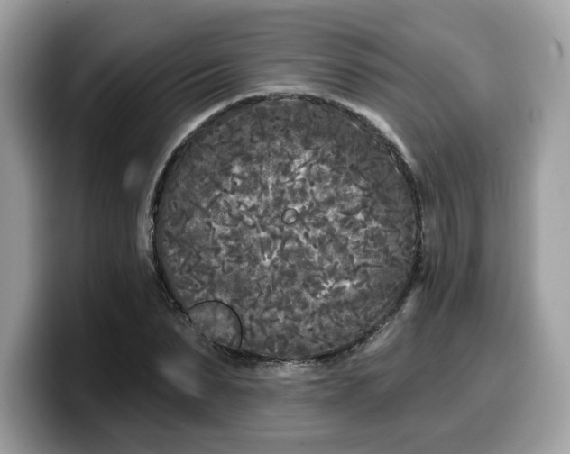 X0000099580879200805301557